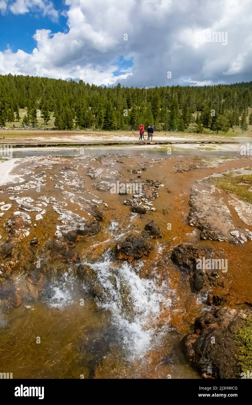 Heiße Quellen im Lower Geyser Basin des Yellowstone National Park, USA [Keine Model-Releases; nur redaktionelle Lizenzierung] Stockfoto