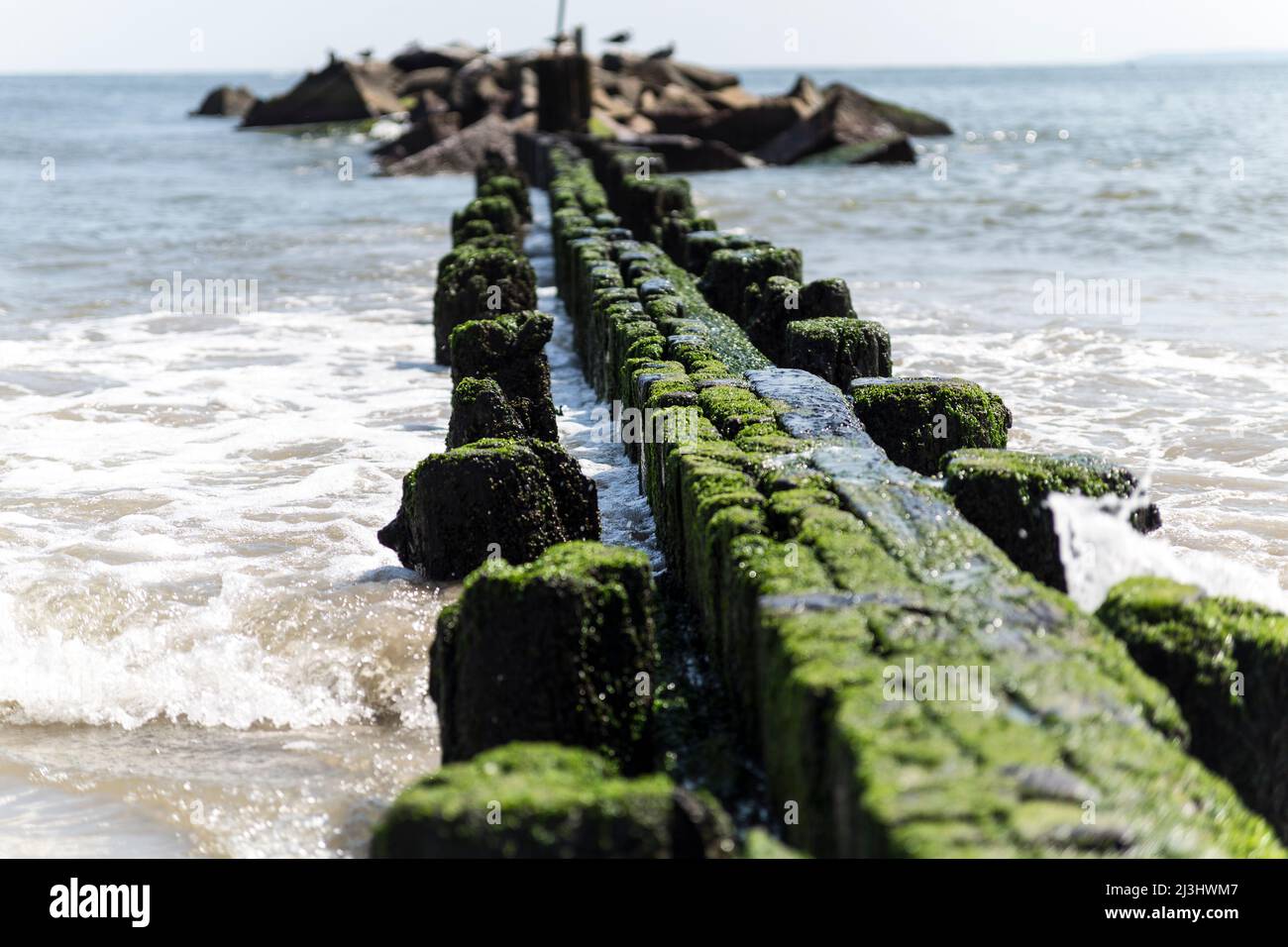 CONEY ISLAND, New York City, NY, USA, Felswand am strand von coney Island im Strandbereich von Brighton in Brooklyn an einem sonnigen Sommertag Stockfoto