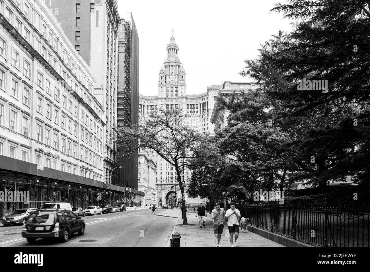 MILLENNIUM Park, New York City, NY, USA, Street Photography in Manhattan Stockfoto