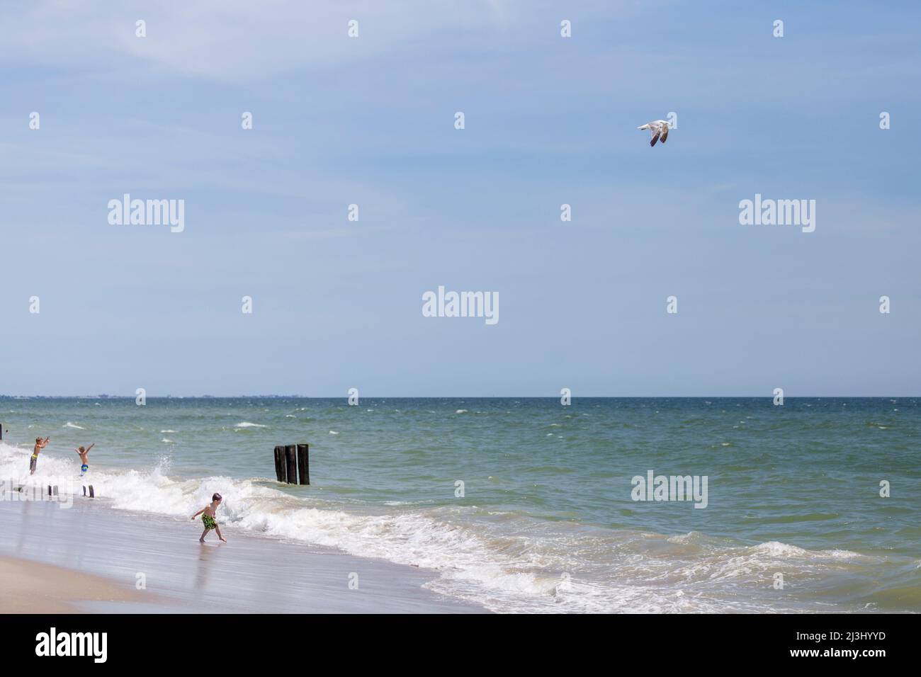 Breezy Point, New York City, NY, USA, kleine Kinder feiern den Tag am Strand. Eine Möwe fliegt abweg. Stockfoto