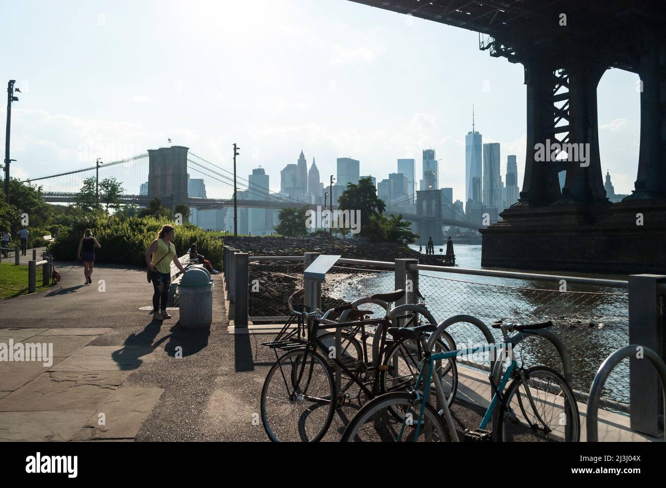 DUMBO, New York City, NY, USA, Manhattan Brücke über den East River durch einige Bäume gesehen Stockfoto