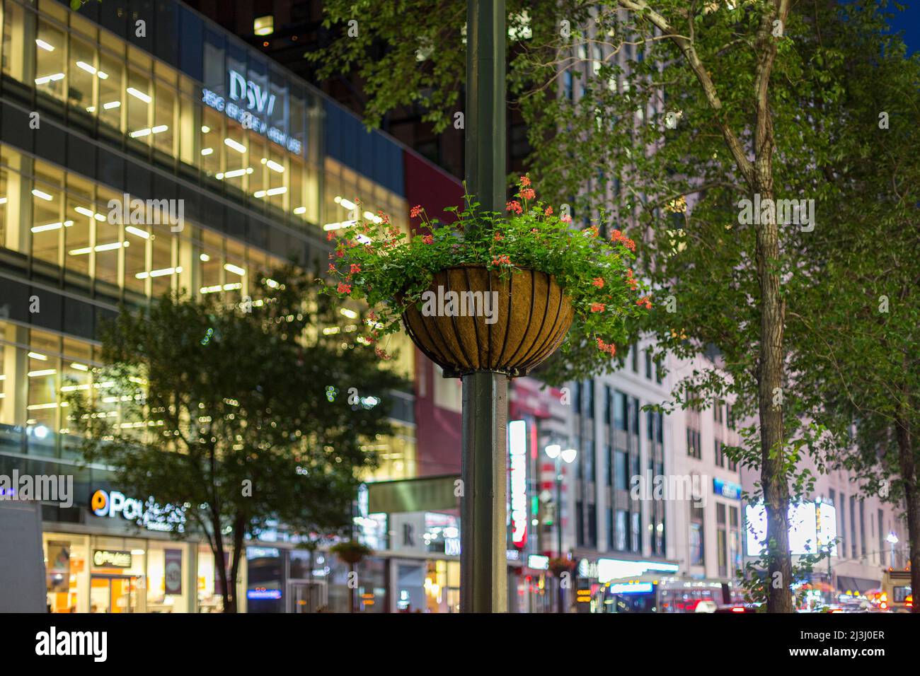 BEKLEIDUNGSVIERTEL, New York City, NY, USA, Blumen hängen herum Stockfoto