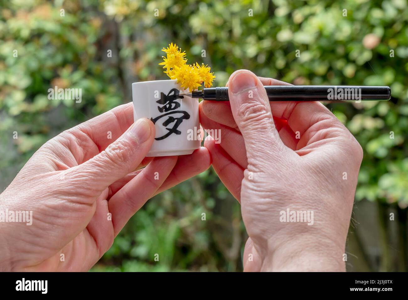 Ein Mann schreibt das Wort Traum auf Japanisch auf eine weiße Tasse mit gelben Blumen im Inneren Stockfoto