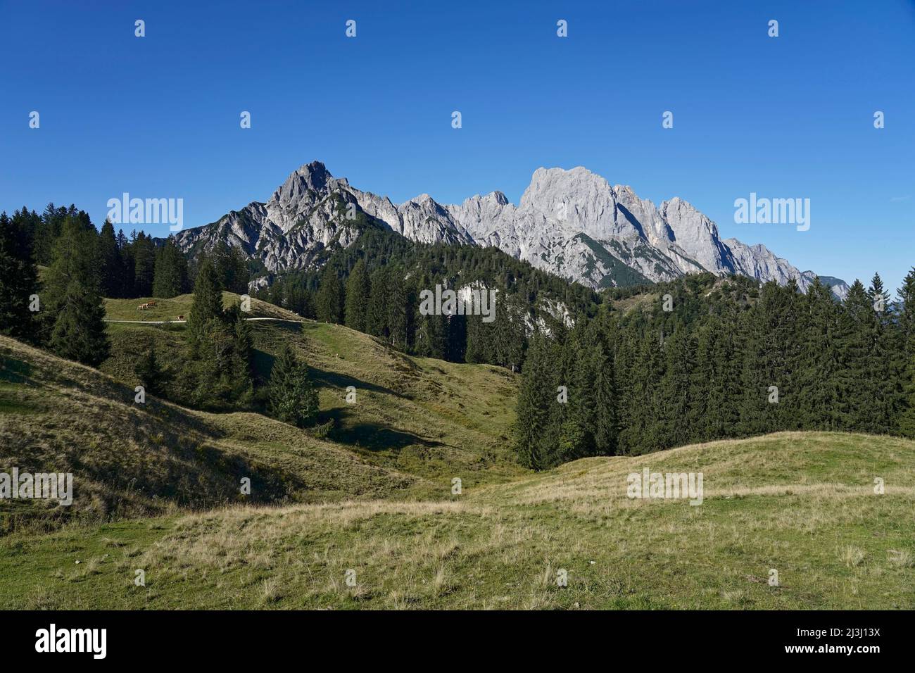 Österreich, Salzburger Land, Pinzgau, Hirschbichlpass, Litzlalmen, Blick nach Deutschland auf die Reiteralpe, von links, Gernhorn, Mühlsturzhorn Stockfoto