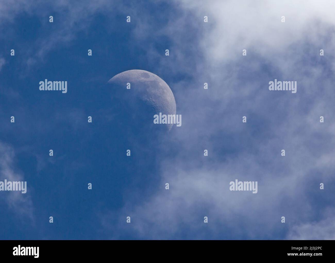 Weiße Wolken ziehen am späten Nachmittag an einem Halbmond vorbei, der an einem tiefblauen Himmel liegt. Stockfoto