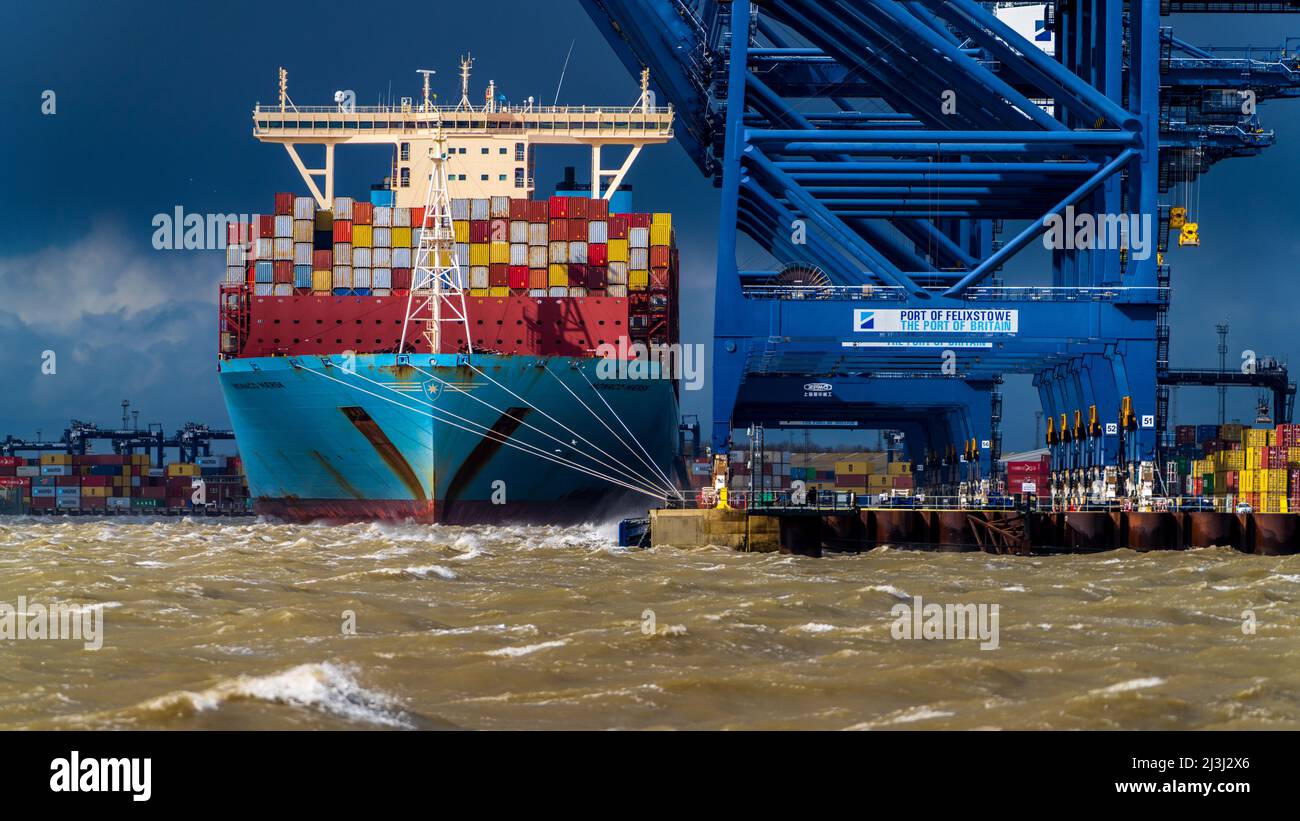Welthandelsprobleme. Jeder Port in einem Sturm. Das Entladen von Containern hält während eines Sturms im Hafen Felixstowe, dem größten Containerhafen Großbritanniens, an. Stockfoto