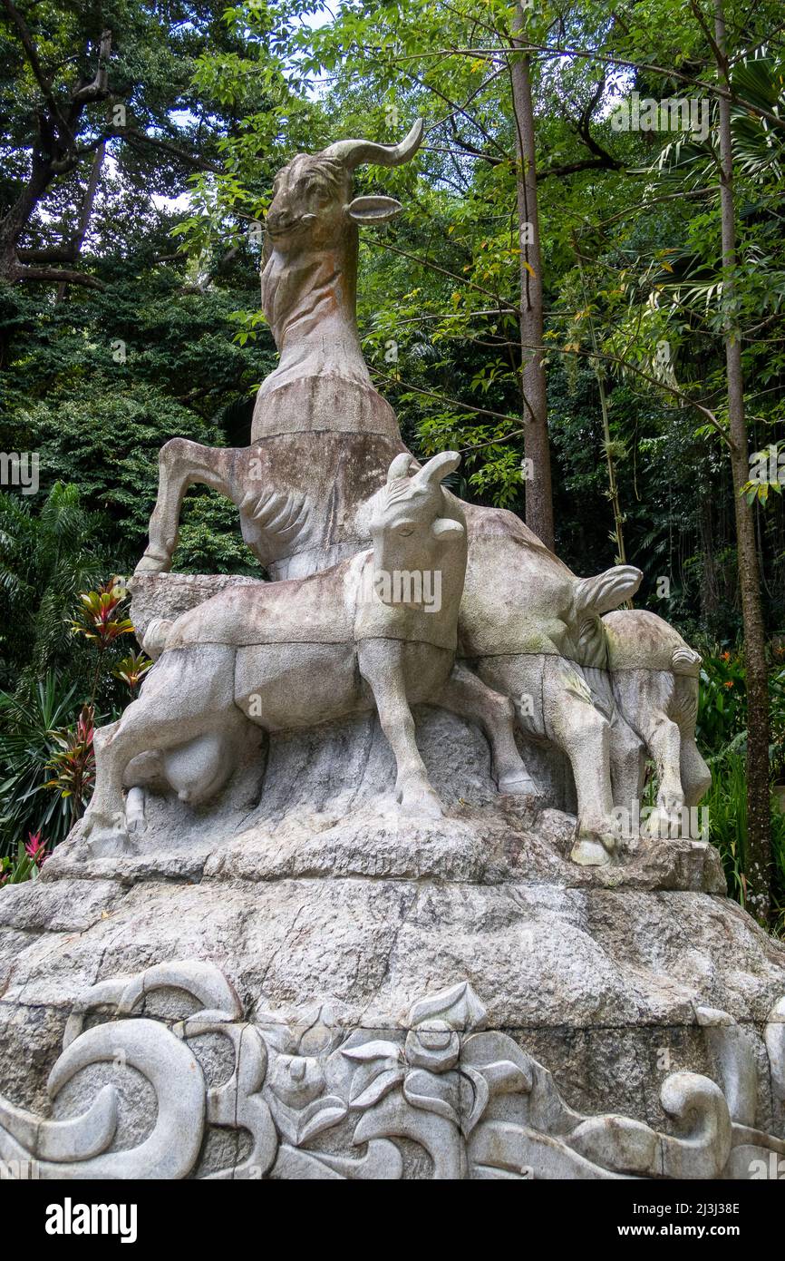 Botanischer Garten der Seychellen Mont Fleuri, am Stadtrand von Victoria, der Hauptstadt Stockfoto