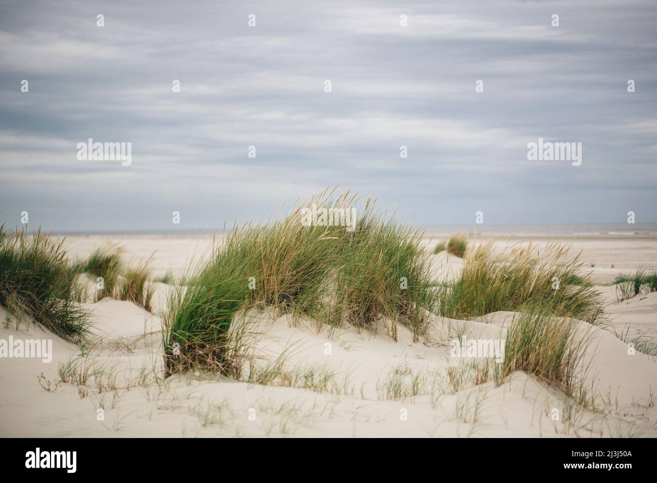 Deutsche nordseeregion -Fotos und -Bildmaterial in hoher Auflösung – Alamy