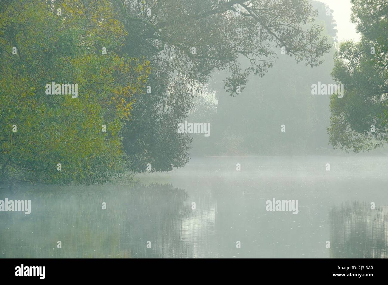 Europa, Deutschland, Hessen, Marburger Land, Morgennebel in den Lahnwiesen bei Weimar, Stockfoto