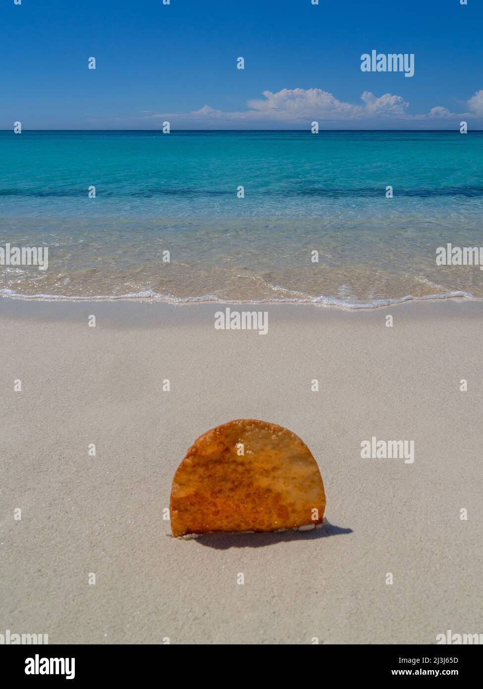 Johnnys Kuchen oder Yaniqueque, ein in der Dominikanischen Republik gebratenes Brot, im Hintergrund ein jungfräulicher Strand Stockfoto