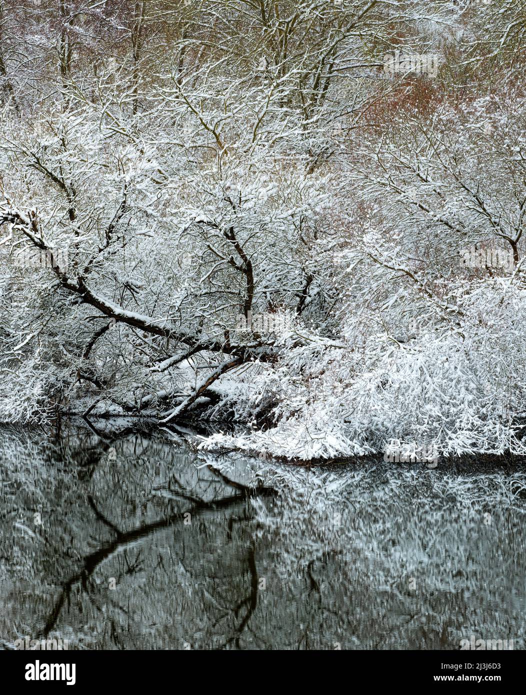 Europa, Deutschland, Hessen, Marburger Land, Winterstimmung auf der Lahn bei Lahntal, Auenwaldvegetation Stockfoto