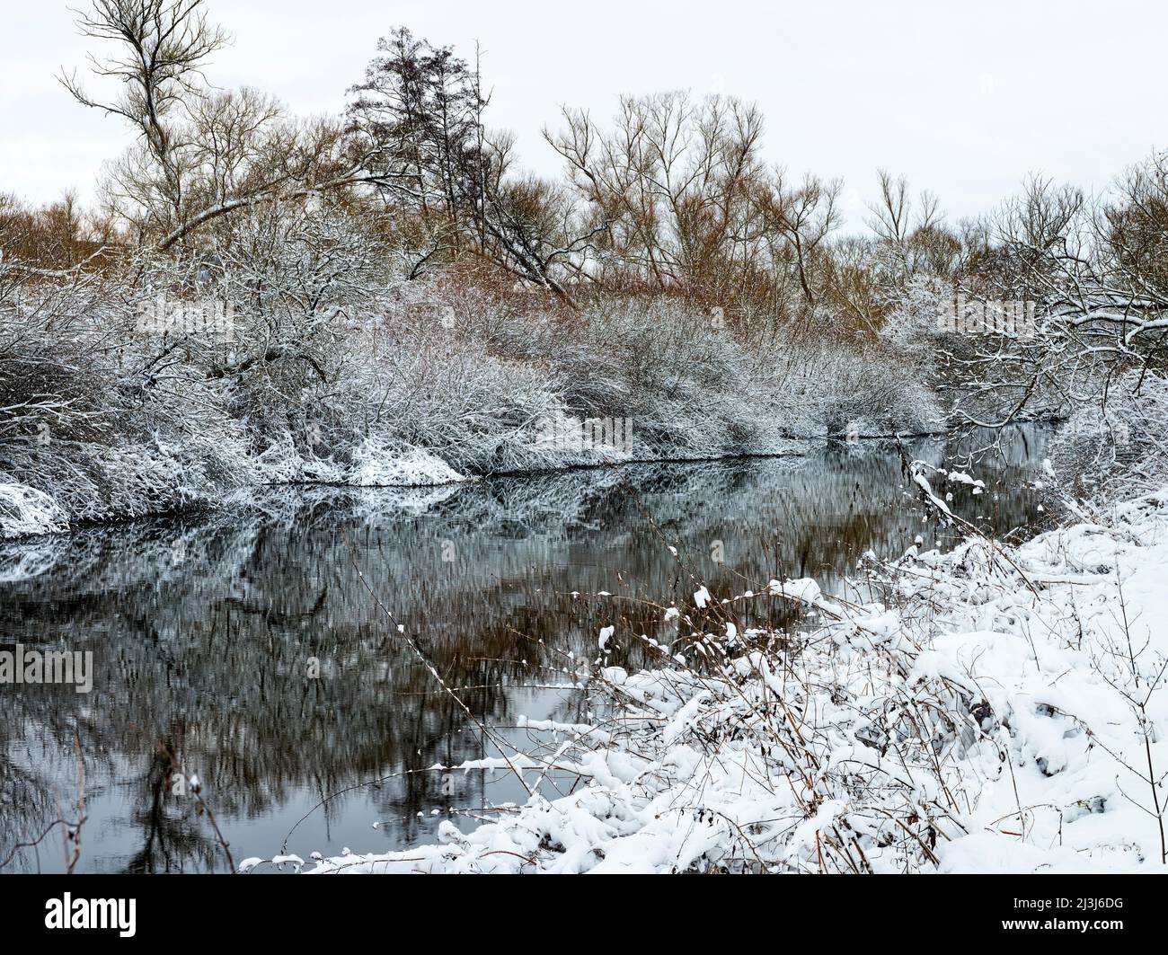 Europa, Deutschland, Hessen, Marburger Land, Winterstimmung auf der Lahn bei Lahntal, Auenwaldvegetation Stockfoto