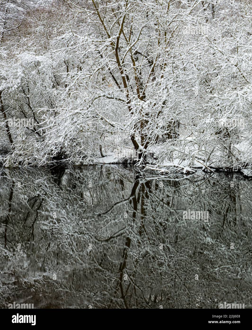 Europa, Deutschland, Hessen, Marburger Land, Winterstimmung auf der Lahn bei Lahntal, Auenwaldvegetation Stockfoto