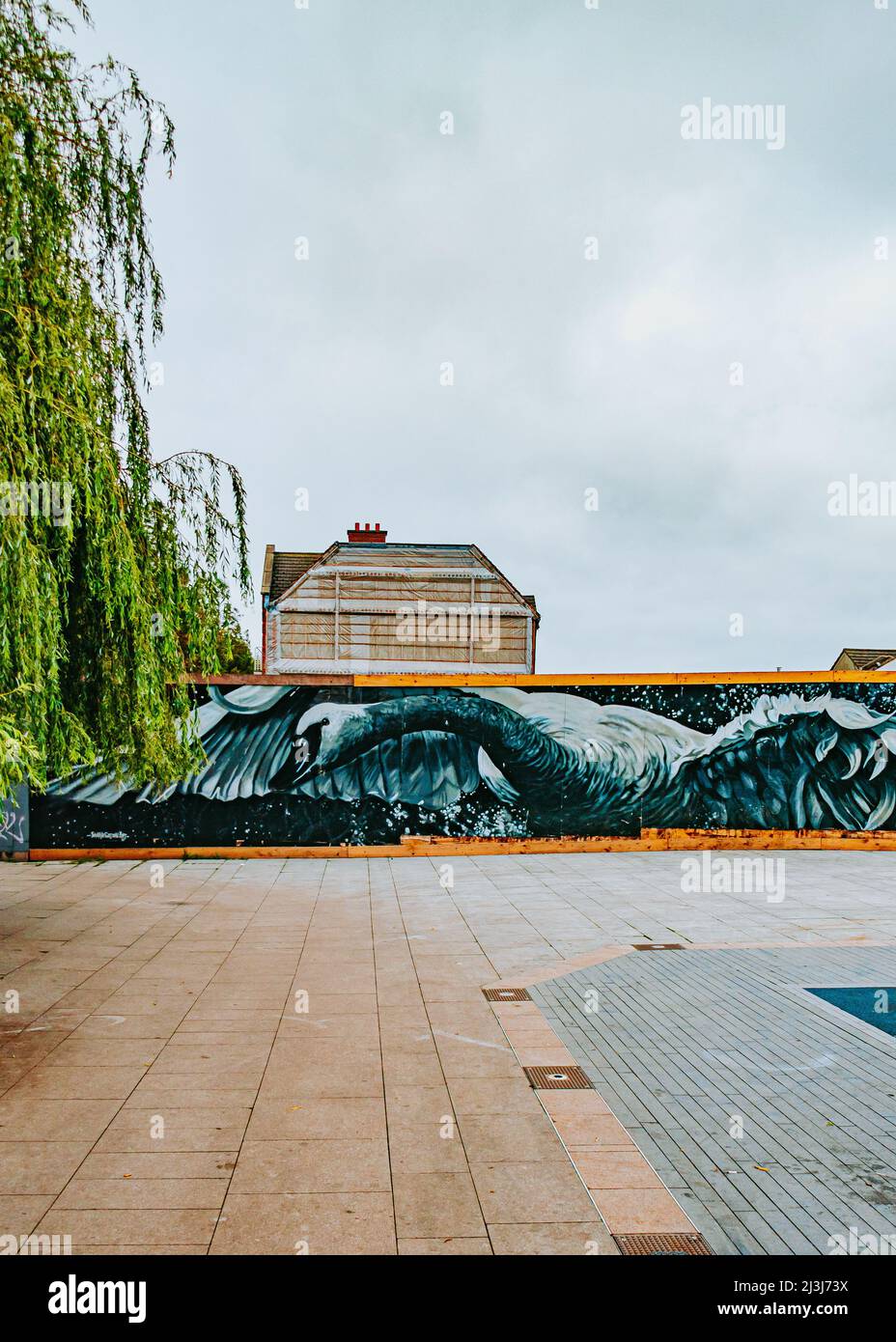 Wandbild eines Schwans in Portobello, Dublin, Irland Stockfoto