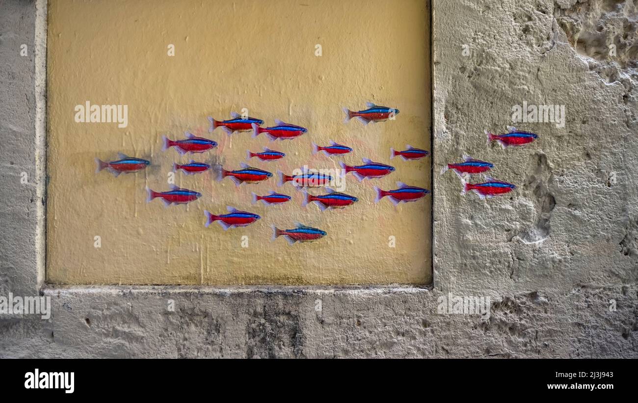 Graffiti in der Altstadt von Montpellier. Stockfoto