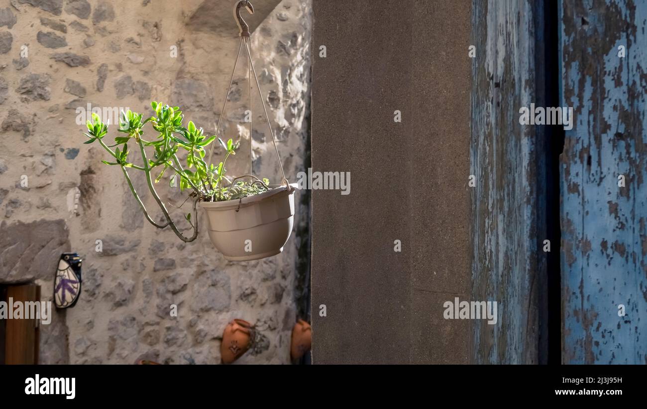 Hängender Blumentopf in Azillanet. Das Gemeindegebiet gehört zum Regionalen Naturpark Haut Languedoc. Stockfoto