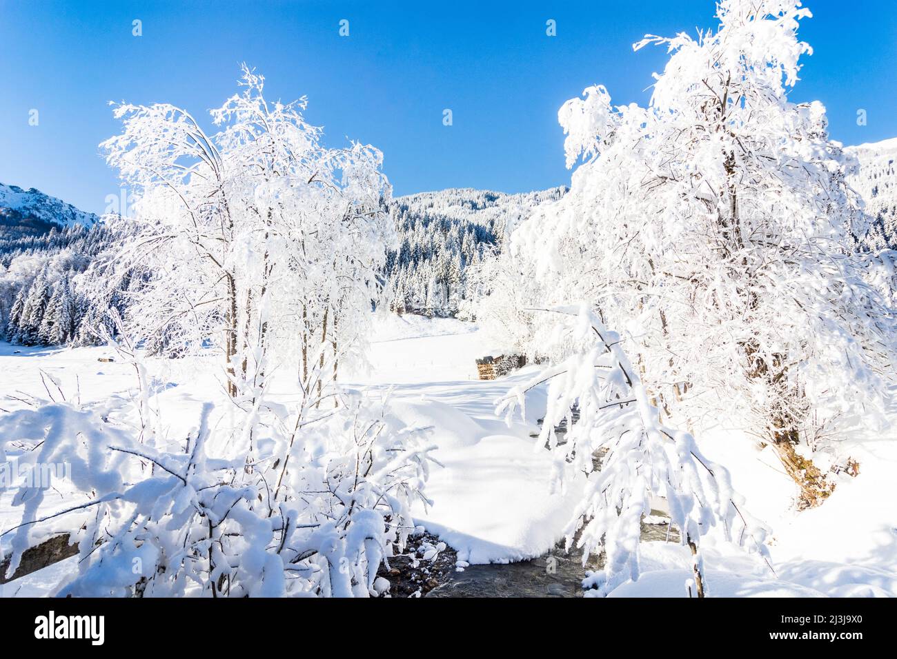 Kleinarl, Kleinarlbachtal, Bach, Raureif, Schnee in Pongau, Salzburg, Österreich Stockfoto