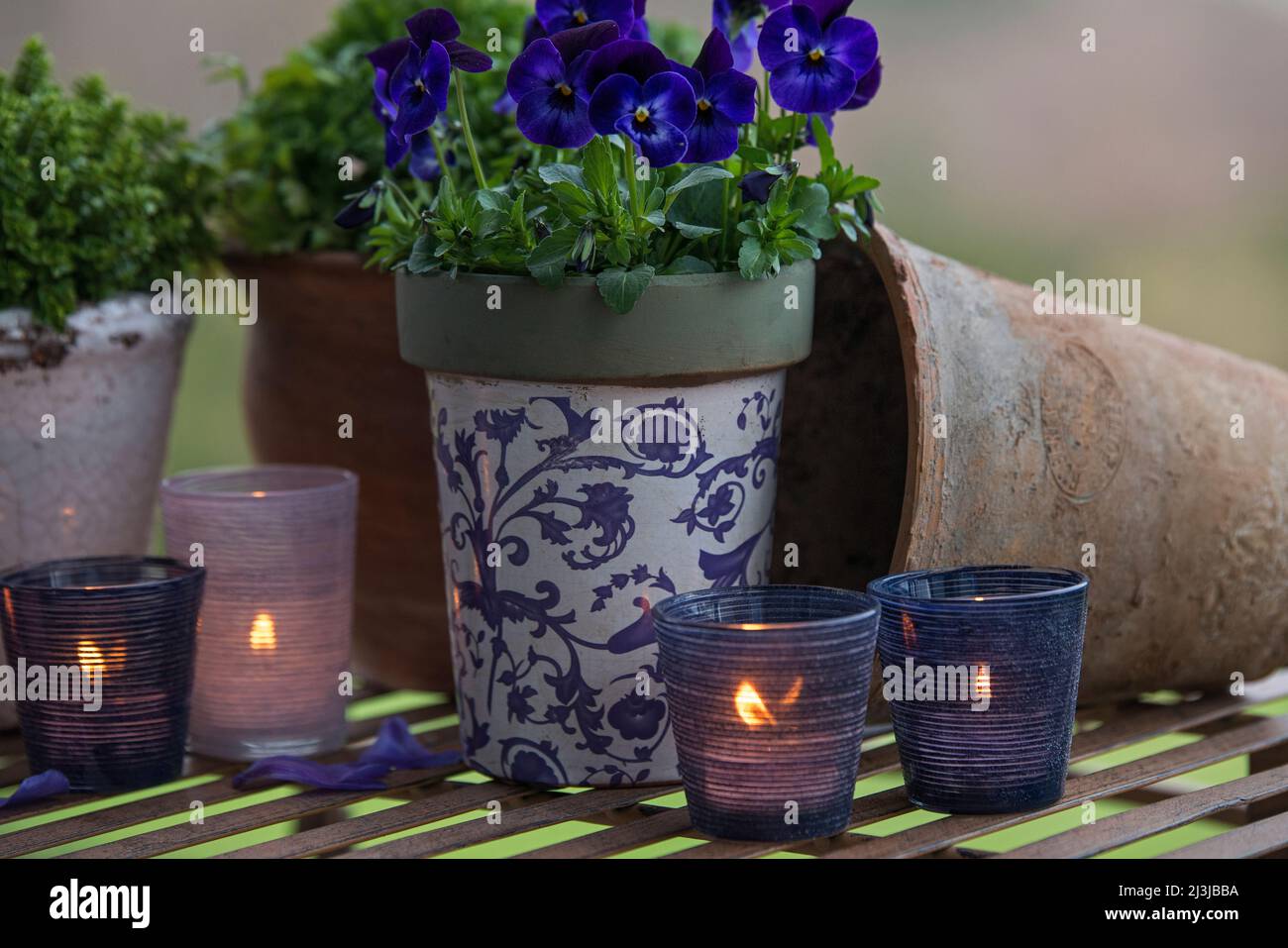 Stillleben, blau blühende Hornveilchen und brennende Kerzen in Laternen, stimmungsvolle Dekoration in violetten und blauen Farbtönen Stockfoto