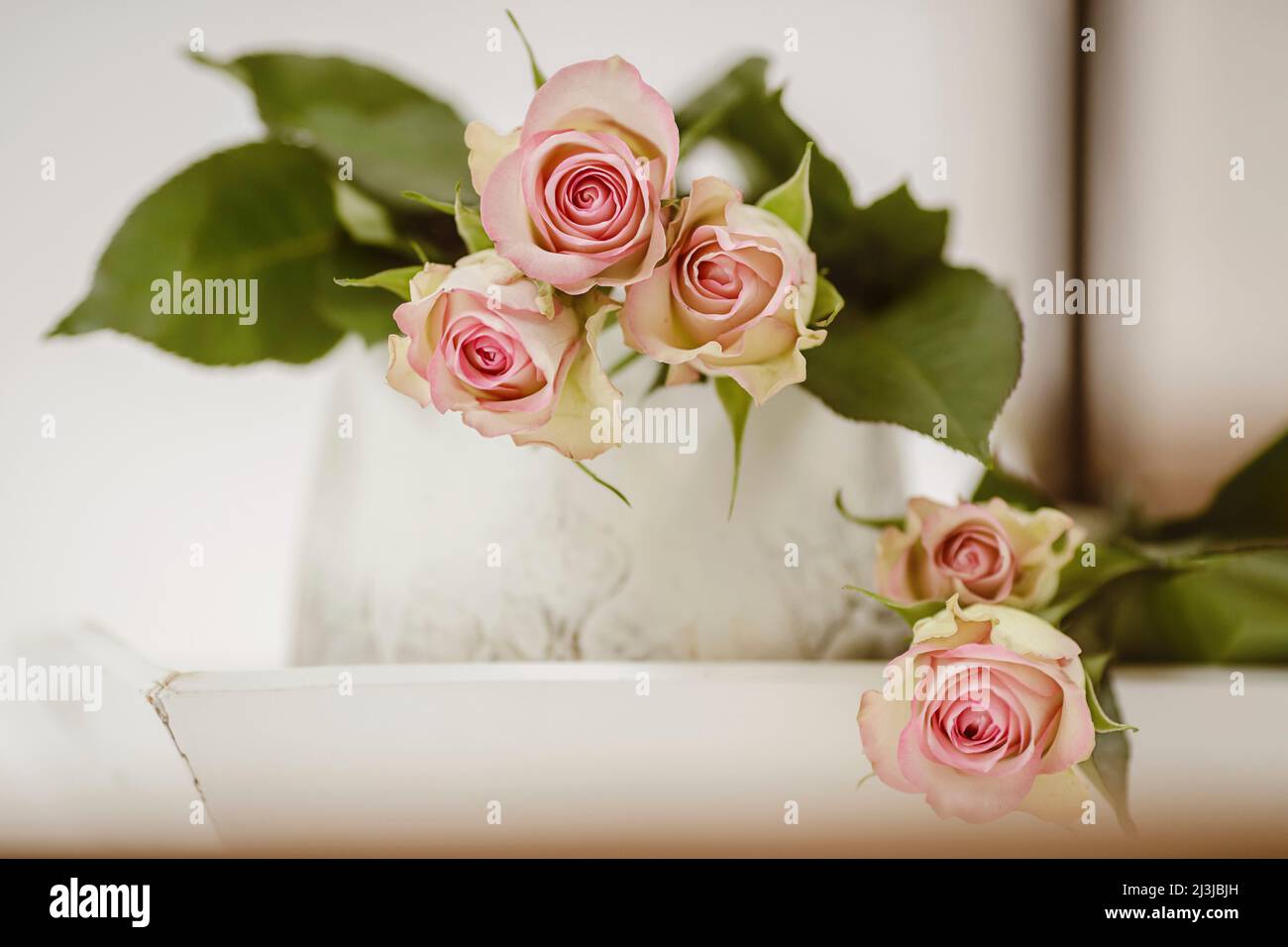 Dekoration mit Rosen, Stillleben, Stockfoto