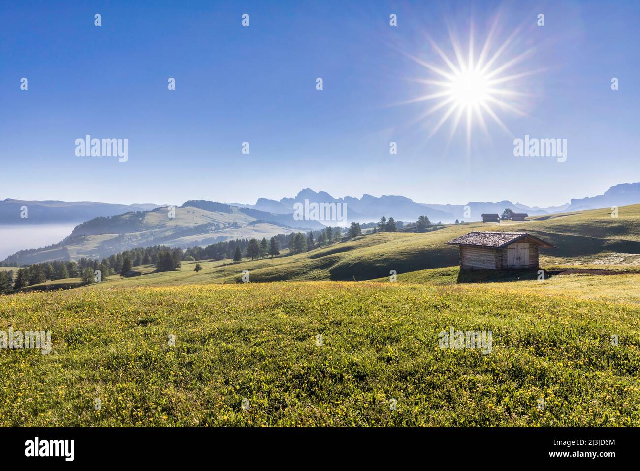 Italien, Südtirol, Kastelruth, Seiser Alm - ausgedehnte grüne Almen und charakteristische Holzhütten auf dem Hochplateau Stockfoto