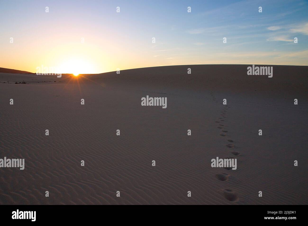 Spanien, Kanarische Inseln, Fuerteventura, Dünengebiet El Jable, Sonnenuntergang, Sonne untergeht hinter einer Düne, Fußabdrücke im Sand, Himmel hellblau bis orange, Schleierwolken Stockfoto