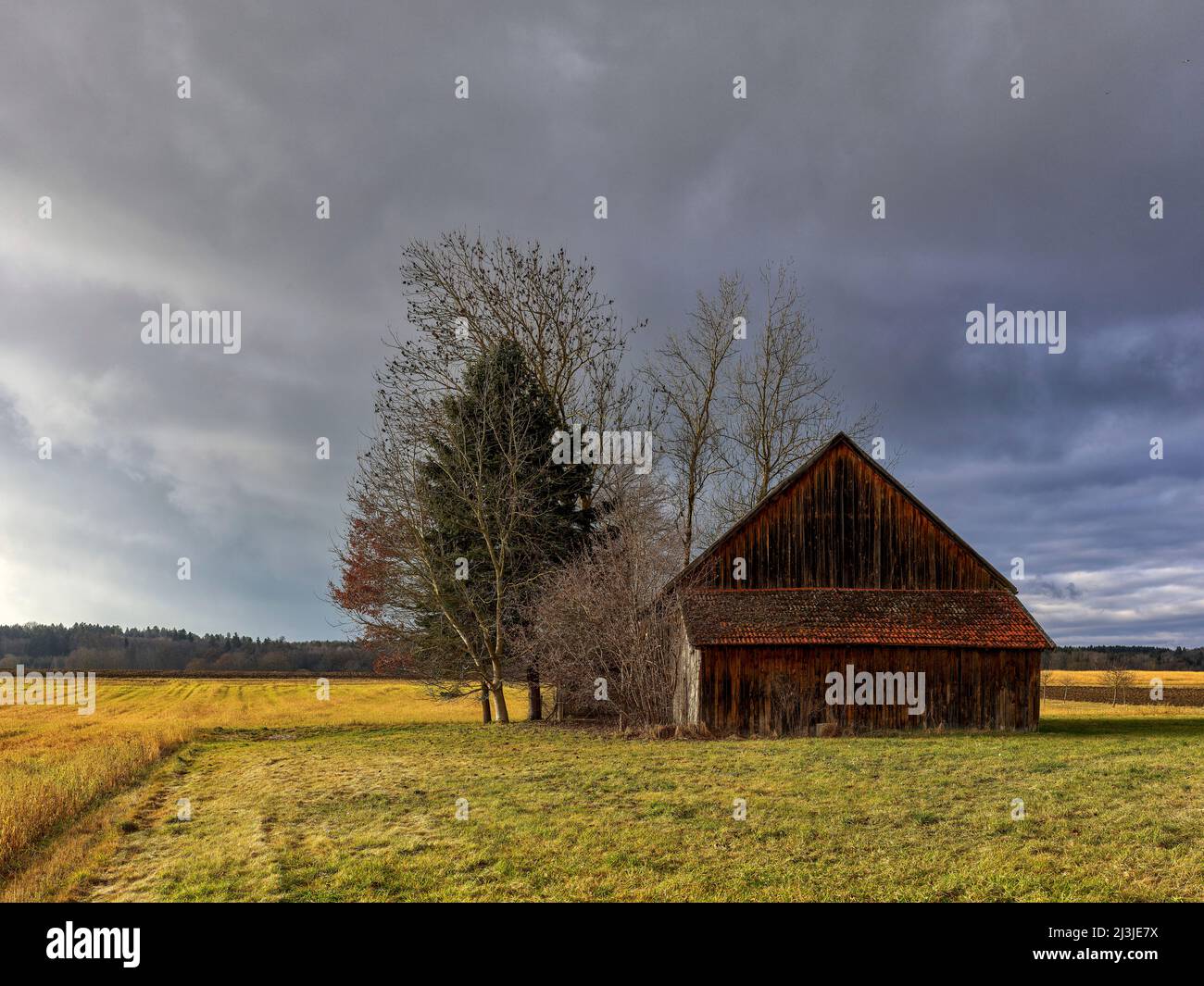Felder in der Region der fünf Seen, Stockfoto