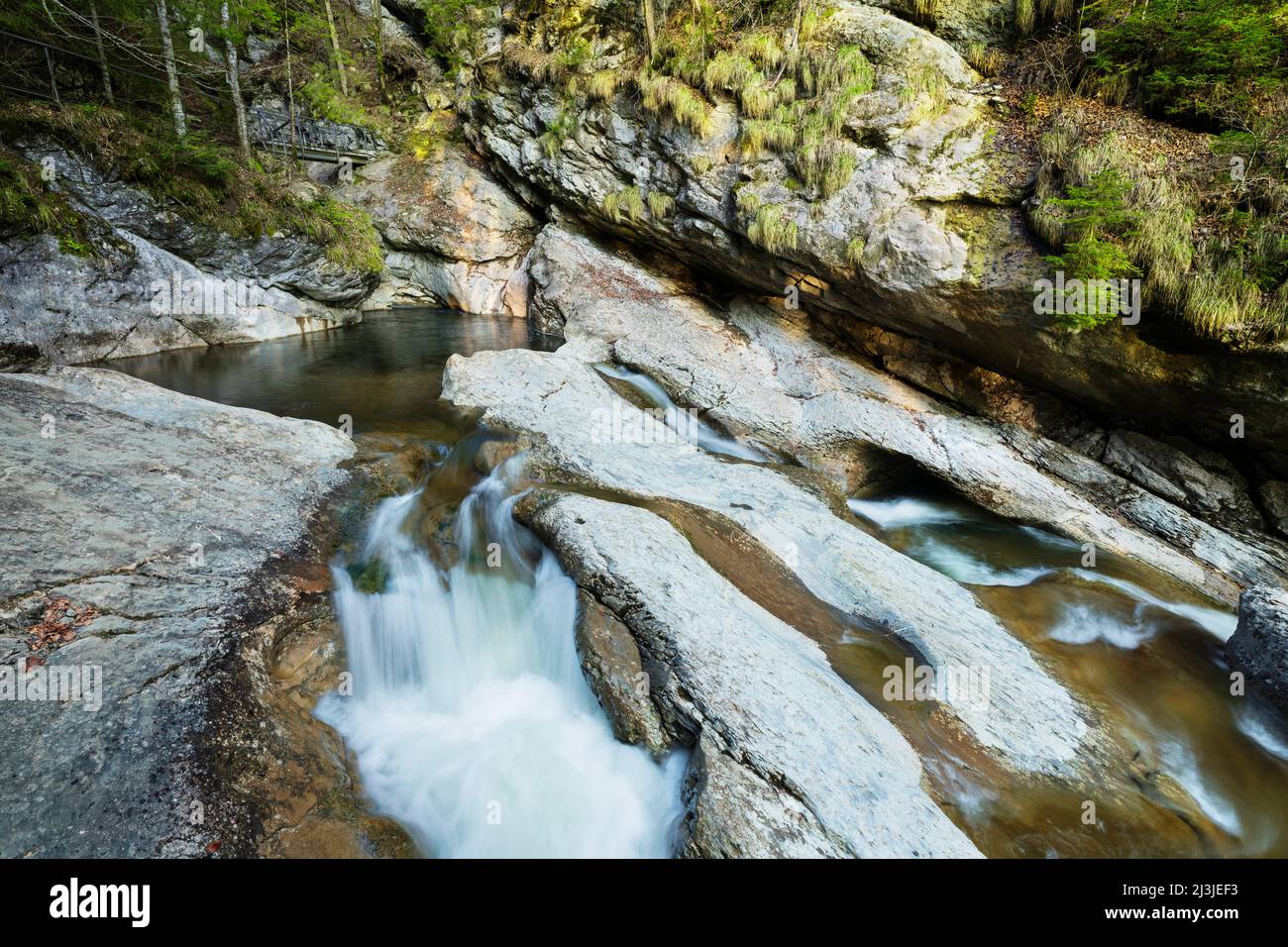 Wildbach fließt über kleine Felsstufen in der Starzlachklamm-Schlucht im Frühjahr, Sonthofen, Allgäu, Bayern, Deutschland, Europa Stockfoto