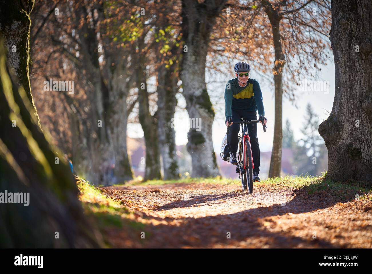 Mann mittleren Alters auf Rennrad, Avenue bei Berg, Bayern, Deutschland Stockfoto