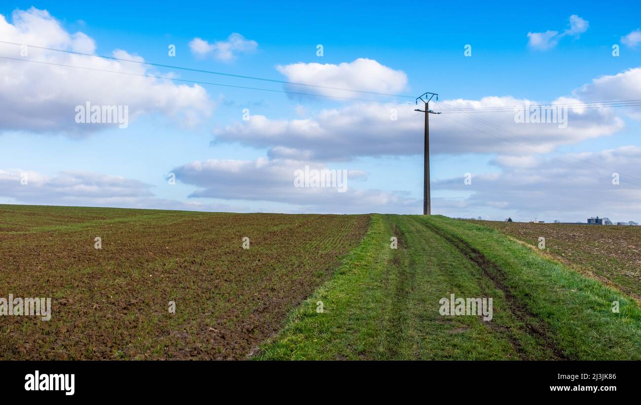 Minimalistische Agrarszene mit einem elektrischen Pol, einige Wolken am Himmel. An einem sonnigen Wintertag in der Umgebung von Paris, Fran Stockfoto