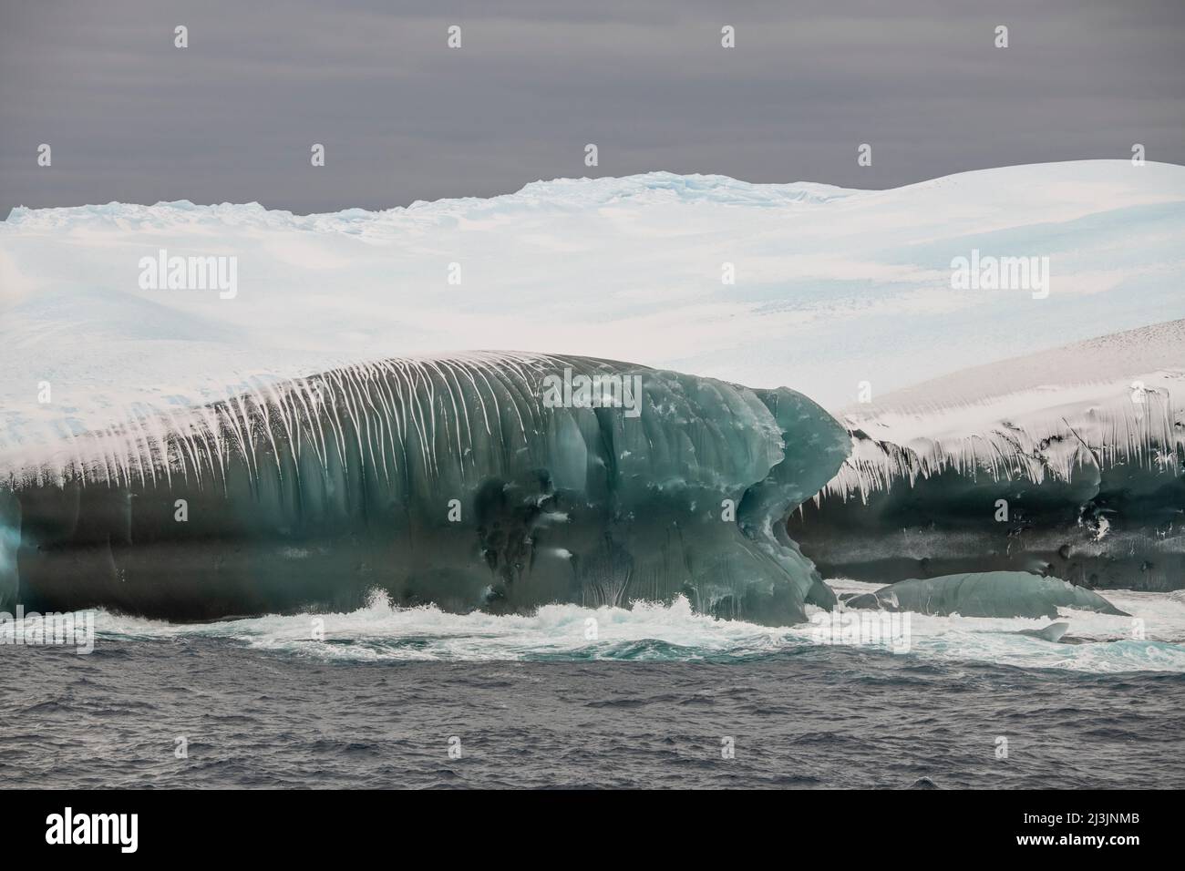 Antarktis, Südsee, Südliche Orkney-Inseln, Iceberg Bay. Seltener grüner Eisberg, wissenschaftlicher Begriff „Jadeeis“. Stockfoto