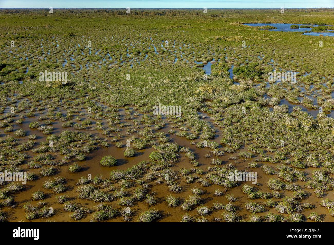 Everglades National Park ist ein Nationalpark im US-Bundesstaat Florida. Die größte subtropische Wildnis in den Vereinigten Staaten, enthält sie den Sou Stockfoto