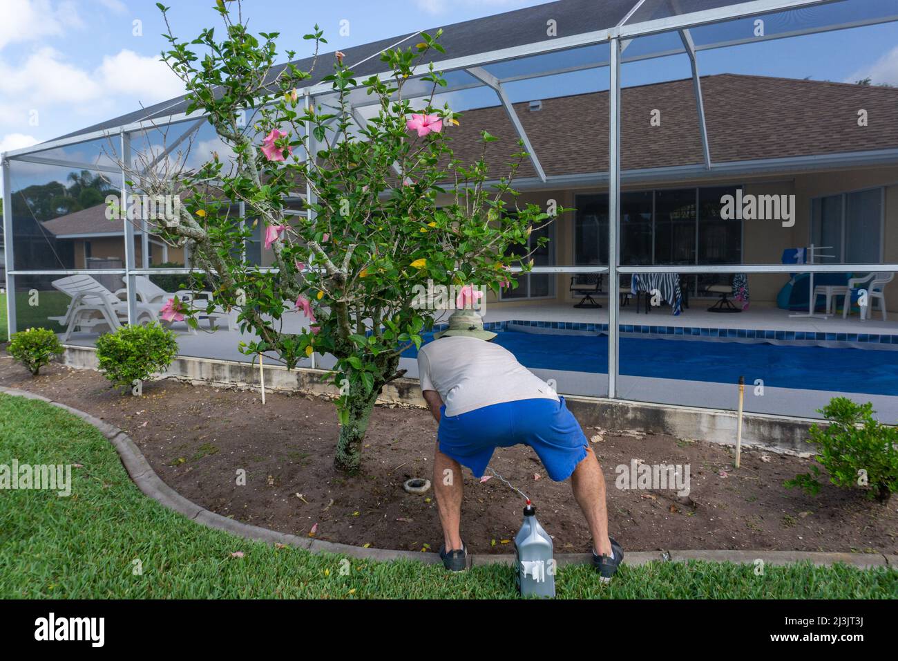 Der Mensch sprüht Unkrautvernichter um Pflanzen in der Nähe des Pools Stockfoto