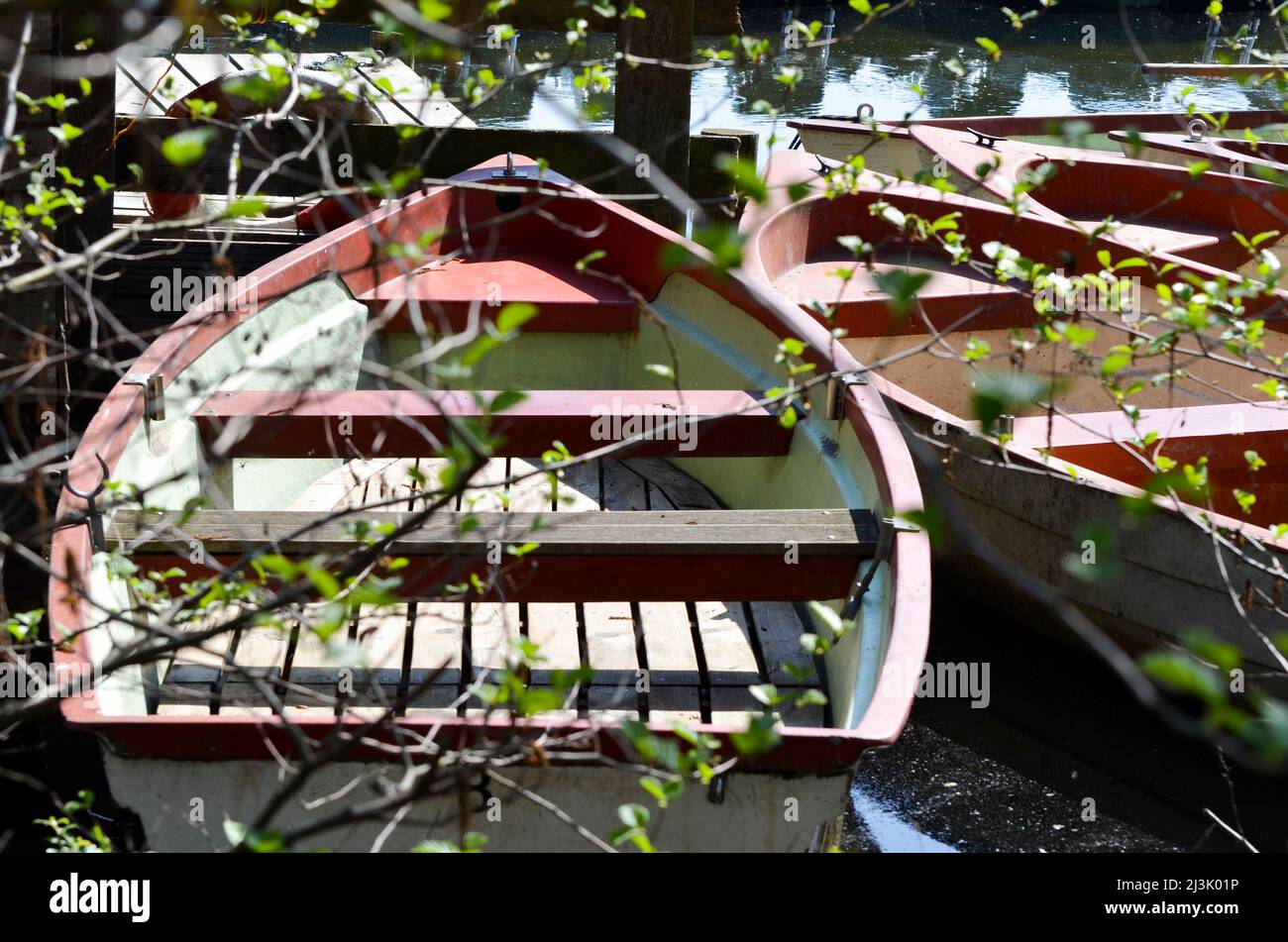 Nahaufnahme eines Ruderbootes auf dem Steg hinter Baumzweigen Stockfoto