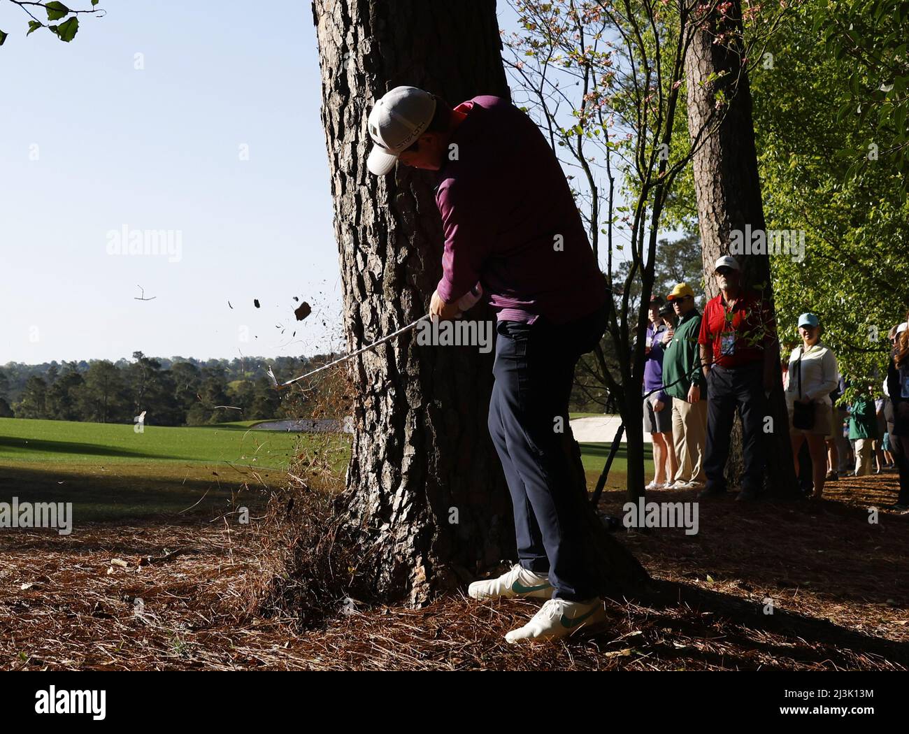 Augusta, USA. 08. April 2022. Robert MacIntyre aus Schottland sticht in der zweiten Runde des Masters-Golfturniers im Augusta National Golf Club in Augusta, Georgia, am Freitag, den 8. April 2022, hinter einem Baum auf dem 2.-Loch aus dem Pinienstroh heraus. Foto von John Angelillo/UPI Credit: UPI/Alamy Live News Stockfoto