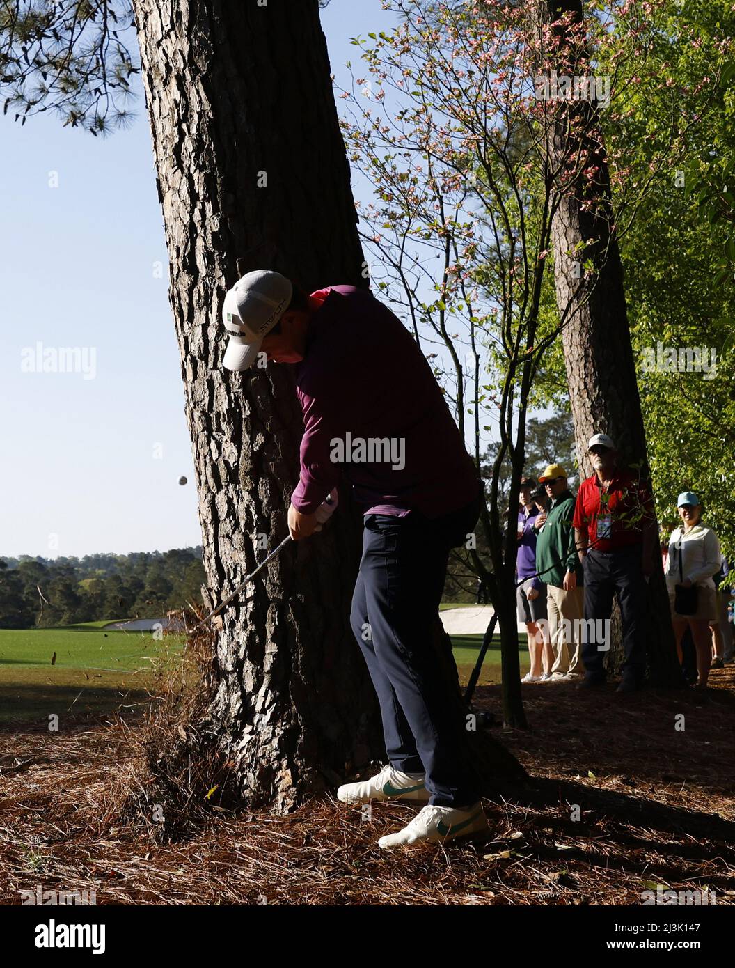 Augusta, USA. 08. April 2022. Robert MacIntyre aus Schottland sticht in der zweiten Runde des Masters-Golfturniers im Augusta National Golf Club in Augusta, Georgia, am Freitag, den 8. April 2022, hinter einem Baum auf dem 2.-Loch aus dem Pinienstroh heraus. Foto von John Angelillo/UPI Credit: UPI/Alamy Live News Stockfoto