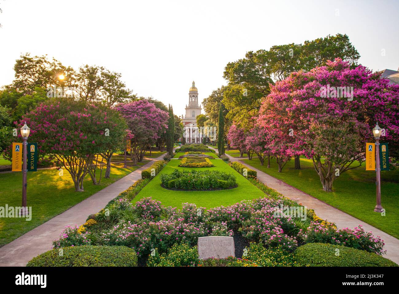 Historisches Viereck der Baylor University mit blühenden Bäumen und Fußwegen durch den wunderschönen Campus und Blick auf die Pat Neff Hall Stockfoto
