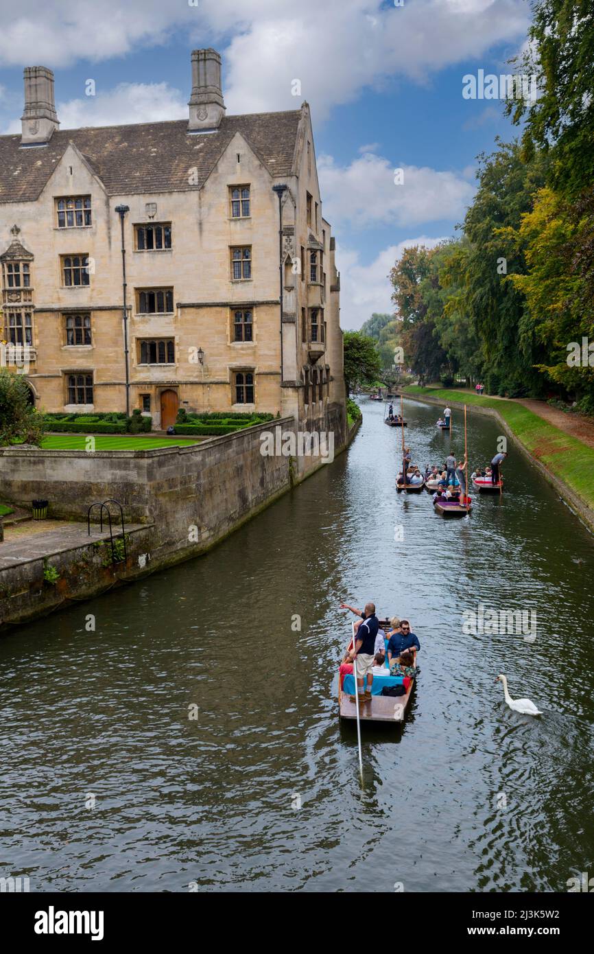 Großbritannien, England, Cambridge.  Bootfahren auf dem Fluss Cam. Stockfoto