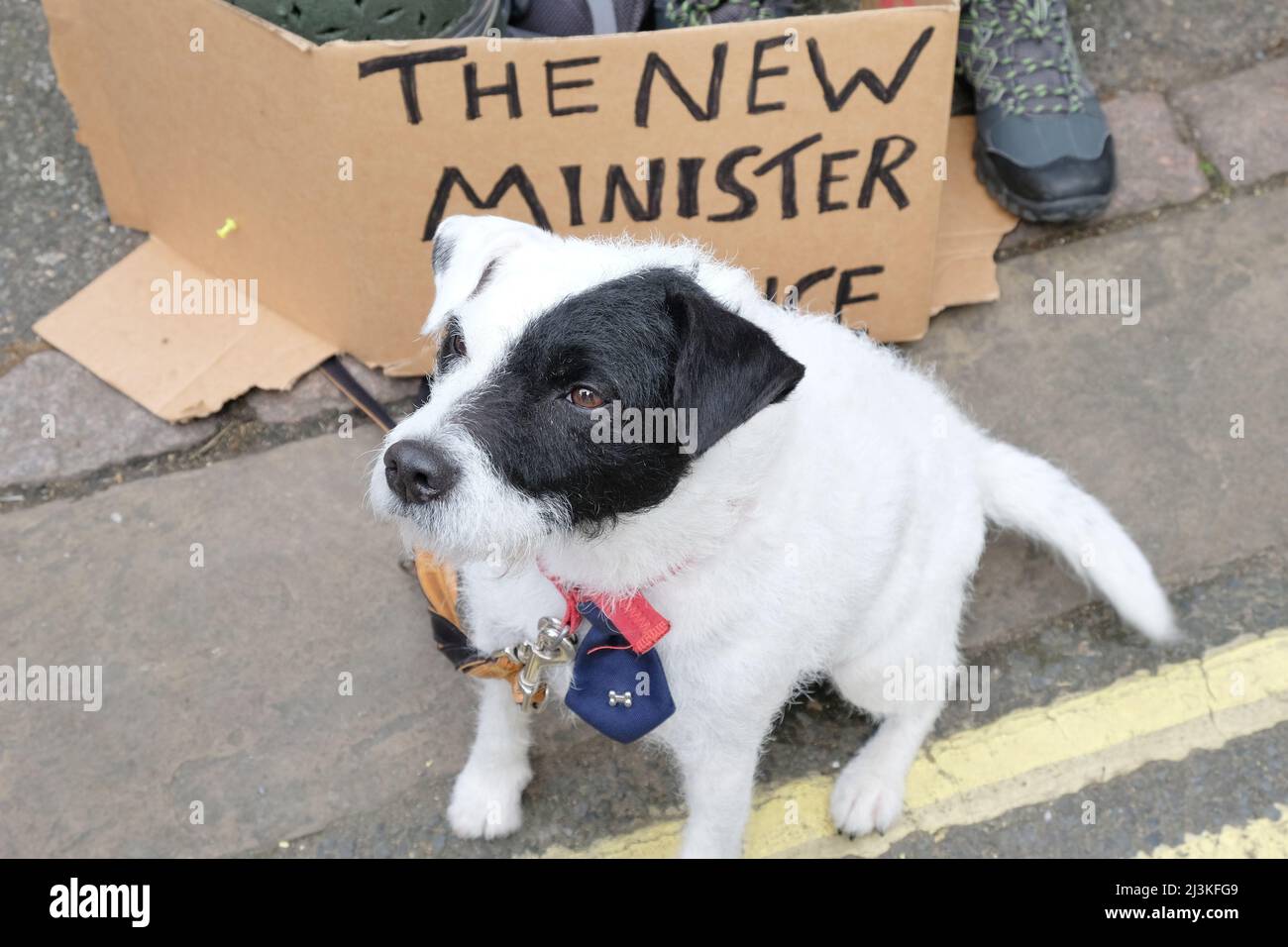 London, Großbritannien, 8.. April 2022. Die Sri-lankische Diaspora demonstrierte vor der Hohen Kommission zur Unterstützung ihrer Mitbürger, nachdem der Mangel an Kraftstoff, Nahrungsmitteln, Medikamenten und Gas Massenproteste in der südasiatischen Nation ausgelöst hatte. Die Demonstranten forderten auch den Rücktritt von Präsident Gotabaya Rajapaksa, da eine Wirtschaftskrise Sri Lanka mit der Überzeugung in den Griff bekommen hat, dass Finanzmisswirtschaft und Korruption innerhalb der Regierung die Situation verschlimmert haben. Kredit: Elfte Stunde Fotografie/Alamy Live Nachrichten Stockfoto