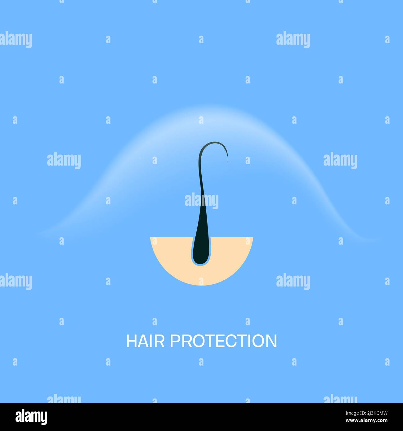 Haarschutz, konzeptionelle Illustration Stockfoto