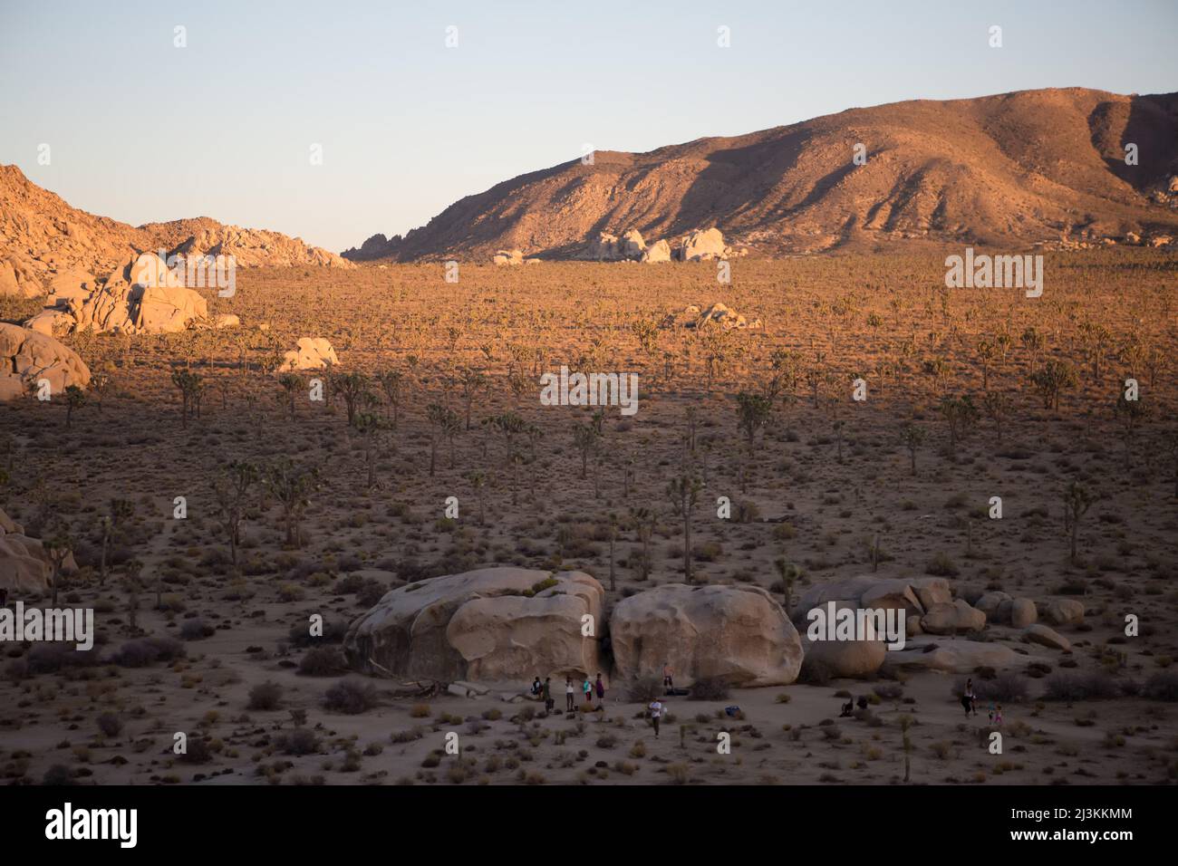 Kletterer versammeln sich am Sonnenuntergang für einen letzten Anstieg im Joshua Tree National Park. Stockfoto