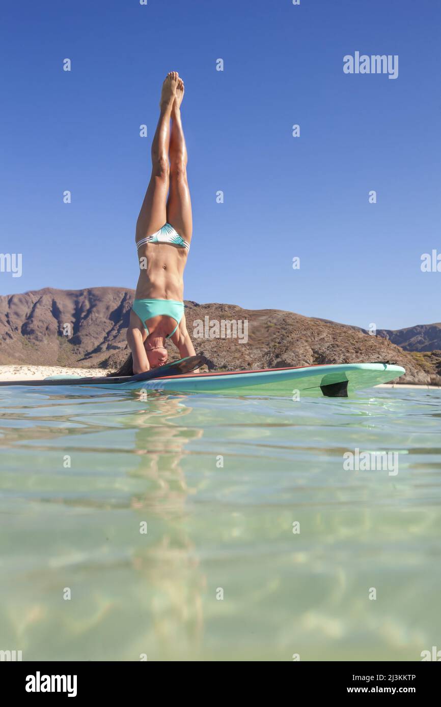 Eine Frau beim Paddleboard Yoga in den flachen Gewässern der Ballandra Bucht. Stockfoto