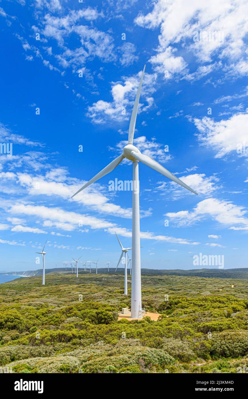 Windturbinen mit Blick auf den Ozean auf der Albany Wind Farm, Torndirrup Peninsula, Albany, Western Australia, Australien Stockfoto