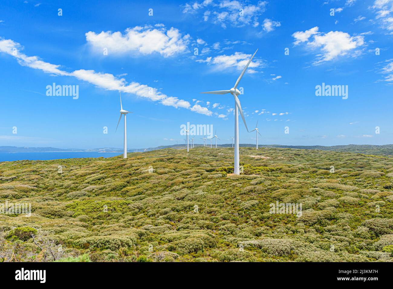 Windturbinen mit Blick auf den Ozean auf der Albany Wind Farm, Torndirrup Peninsula, Albany, Western Australia, Australien Stockfoto