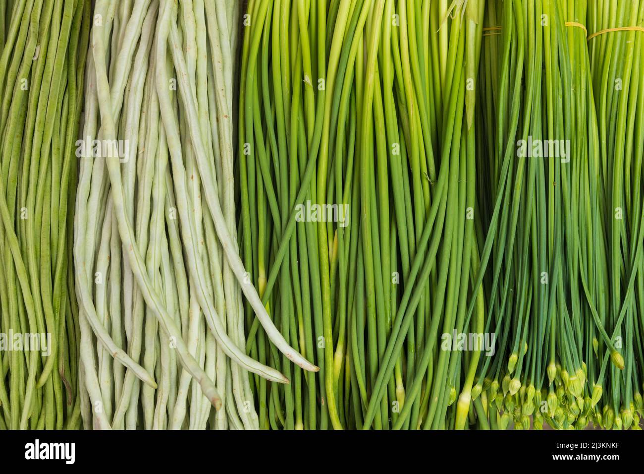 Nahaufnahme von frischem Gemüse, Knoblauchsprossen und chinesischen langen Bohnen zum Verkauf auf dem Chengdu Markt; Sichuan, China Stockfoto