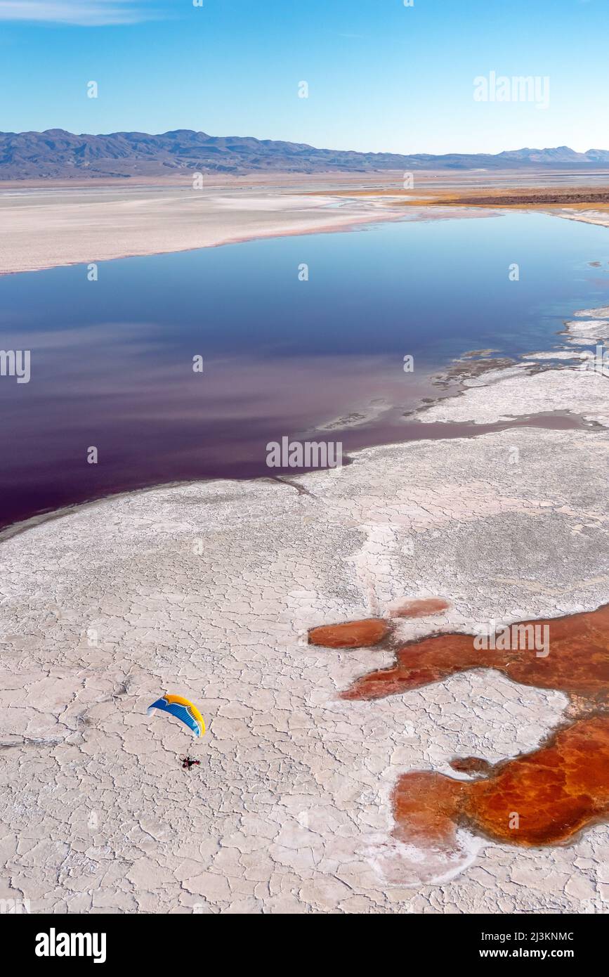 Ein Paramotor-Pilot fliegt über Owens Lake, ein meist trockenes Seebett, in der Sierra Nevada in der Nähe von Lone Pine, mit salzliebenden Halobakterien, die den... Stockfoto