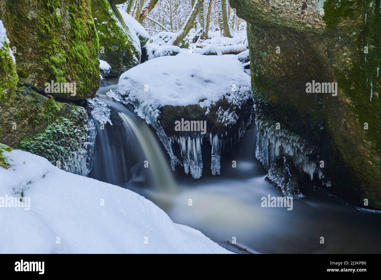 Bach fließt durch einen verschneiten Wald im Naturreservat Hell, Bayerischer Wald; Oberpfalz, Bayern, Deutschland Stockfoto