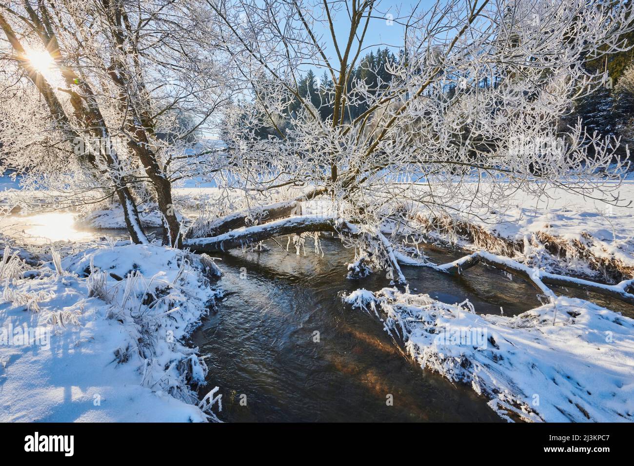 Gefrorene und verschneite Landschaft mit einem fließenden Bach; Bayern, Deutschland Stockfoto
