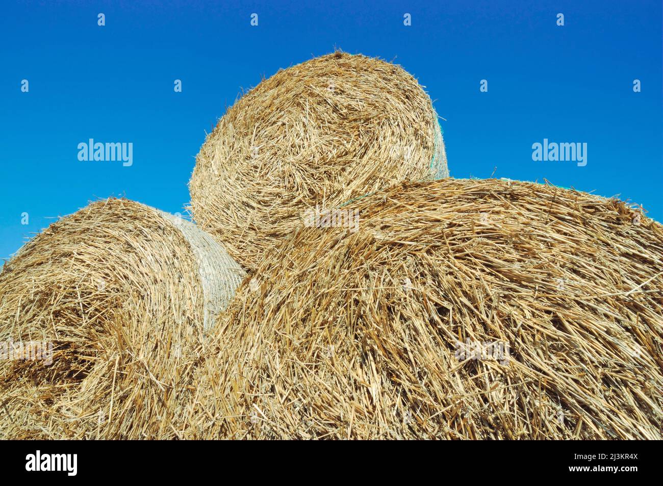 Strohballen vor blauem Himmel. Stockfoto