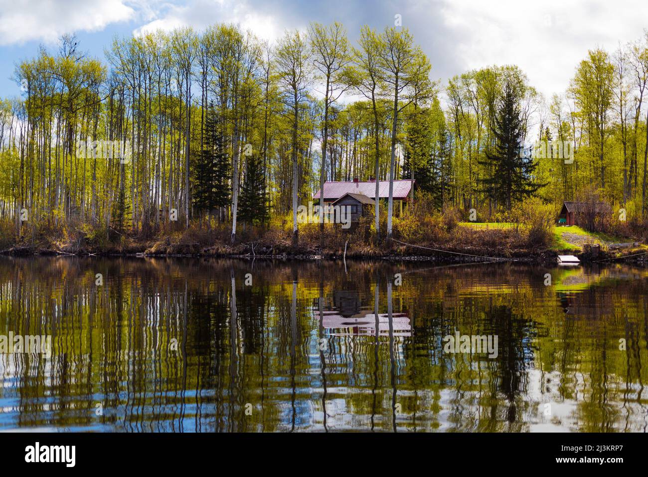 Hütte in einem Wald am Ufer mit Baumreflexen im ruhigen Wasser, Hudson Bay Mountain; Smithers, British Columbia, Kanada Stockfoto