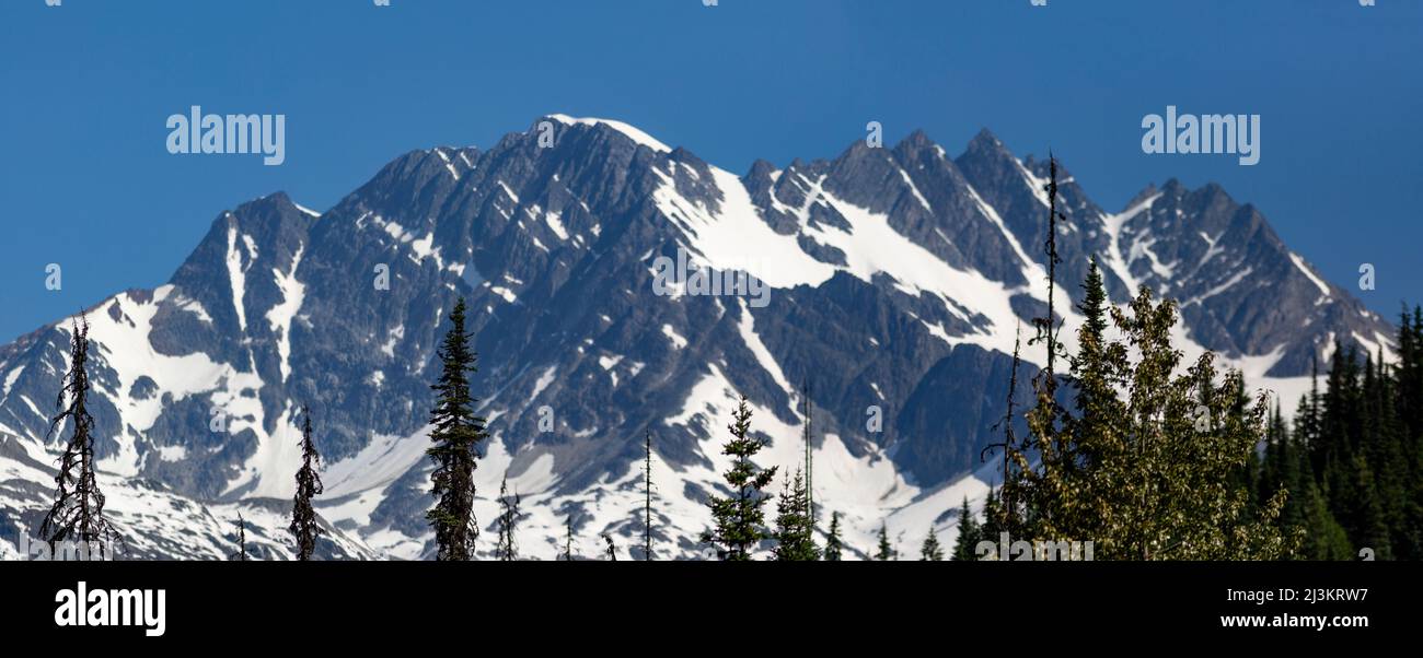 Zerklüftete Rocky Mountains in Rogers Pass, Glacier National Park; British Columbia, Kanada Stockfoto